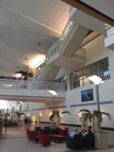 11902539_993247514059618_3635275346941835929_n