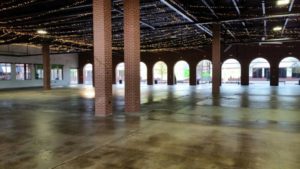 14359275_1237189736332060_5987549606208490521_n